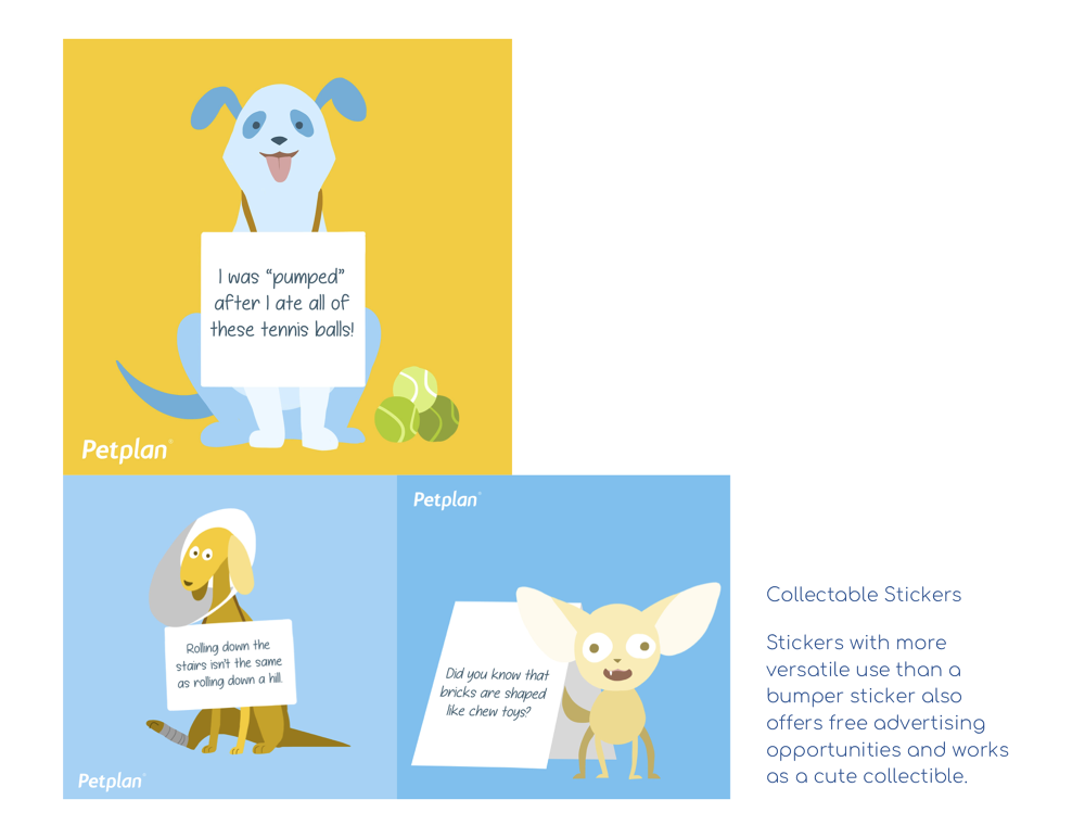 Petplan Campaign Mari Larsen