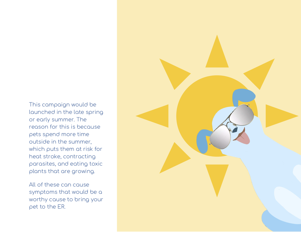 Petplan Campaign Mari Larsen