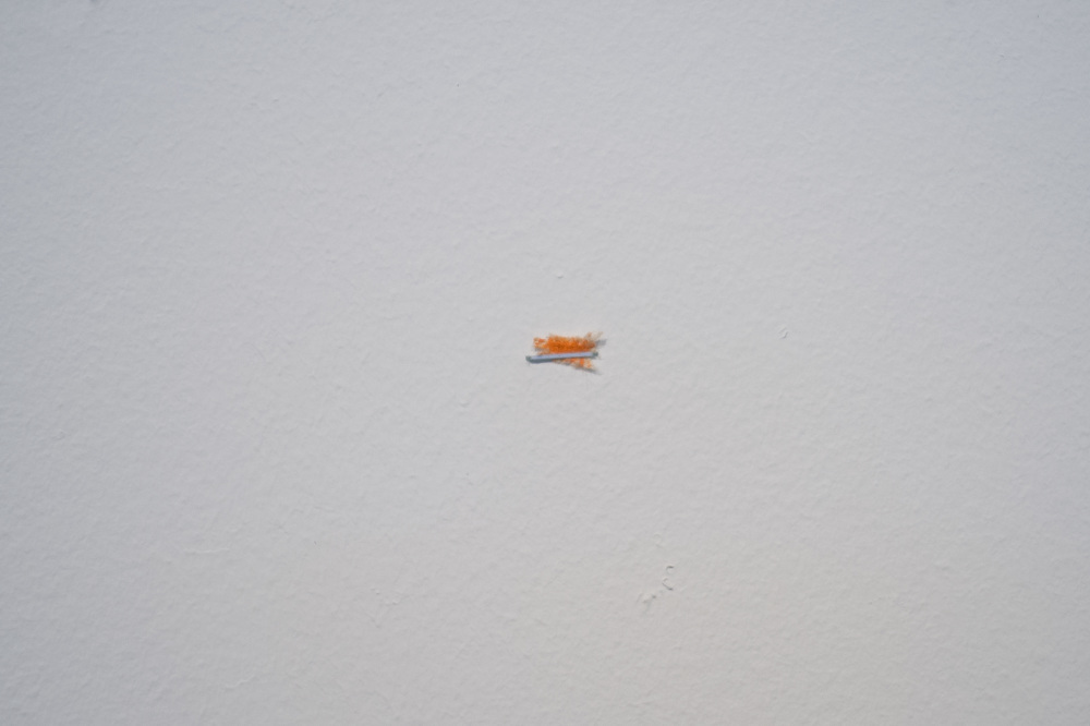 Örn Alexander Ámundason