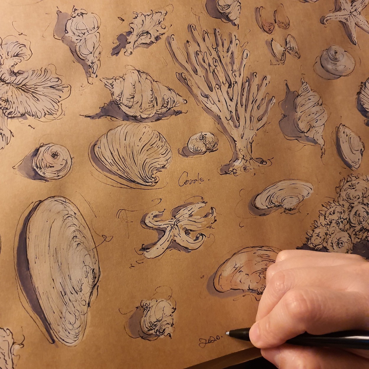 Draw Lightly - fluiddrawingseoul
