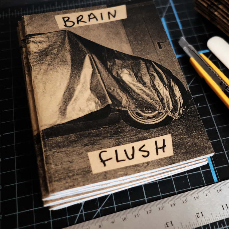 Brain Flush - Charlie Morris