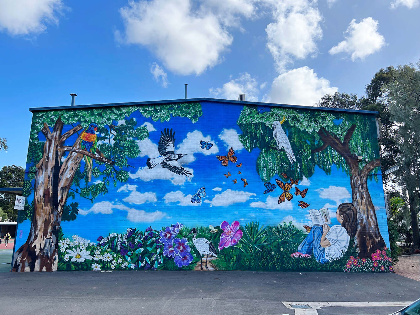 Pooraka Primary Nicky Create Mural Artist Adelaide