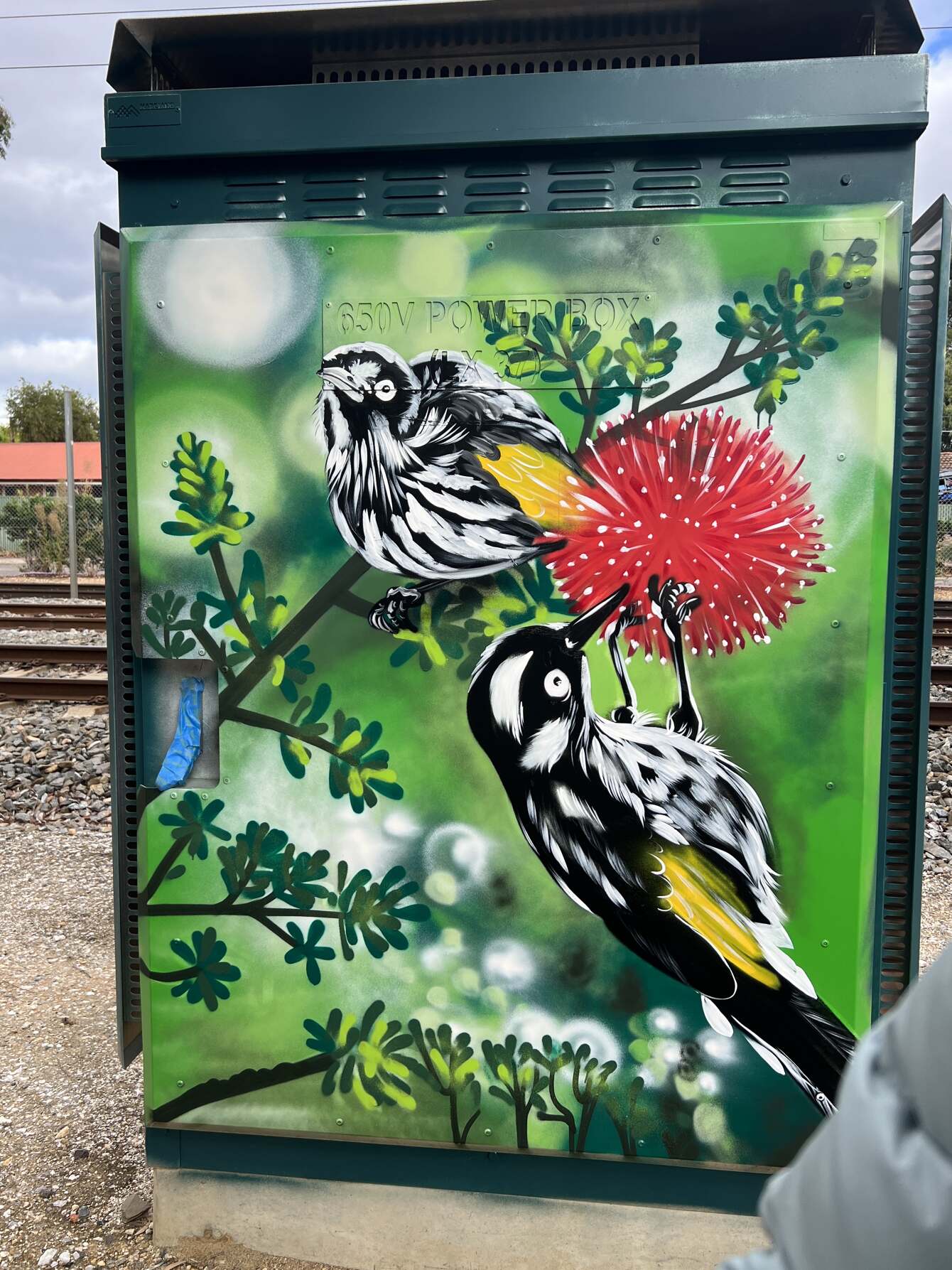 Hawker Street Nicky Create Mural Artist Adelaide