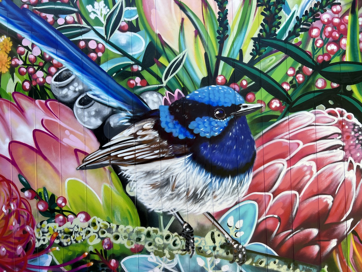 Native Mural 2025 - Nicky Create | Mural Artist Adelaide