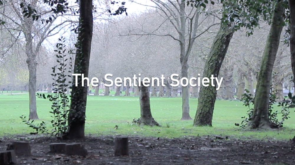 The Sentient Society - EFFANTIN