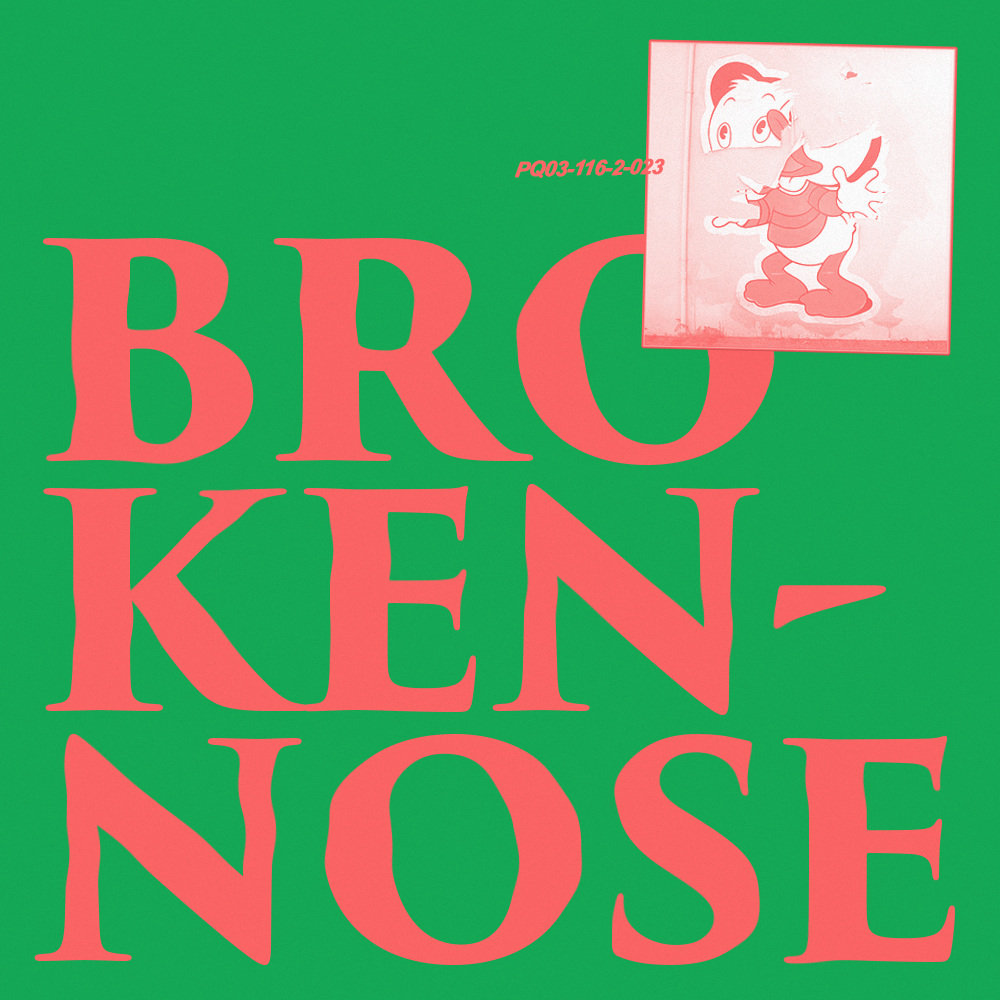 broken nose - POOR QUALITY