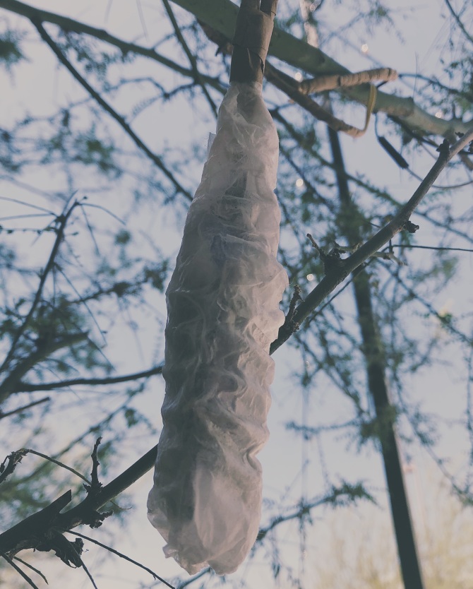 Cocoon - karina j hernández