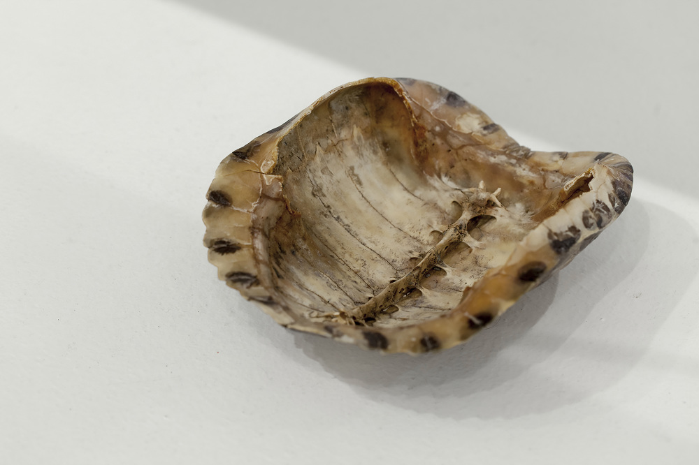 Every object is a temporal space - Nicolás Lamas