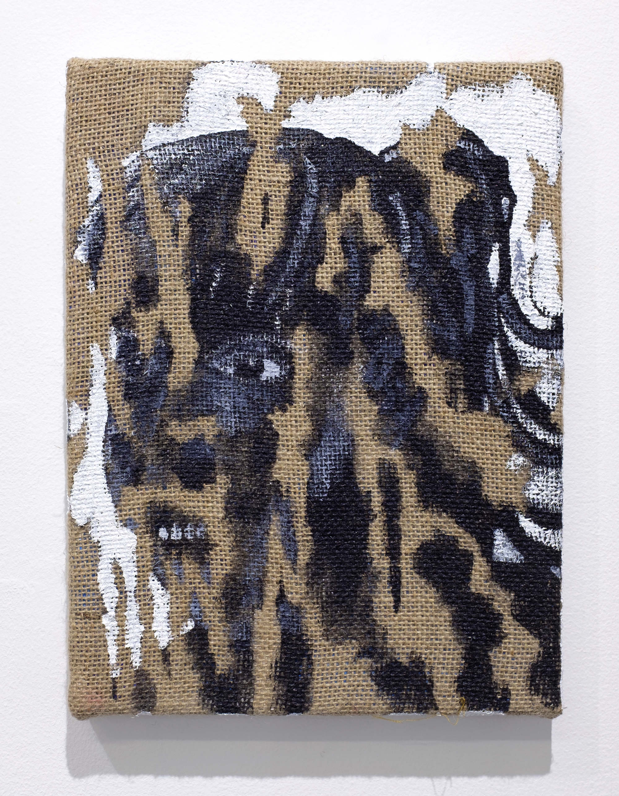 Chromatic Reveries Selenas Mountain