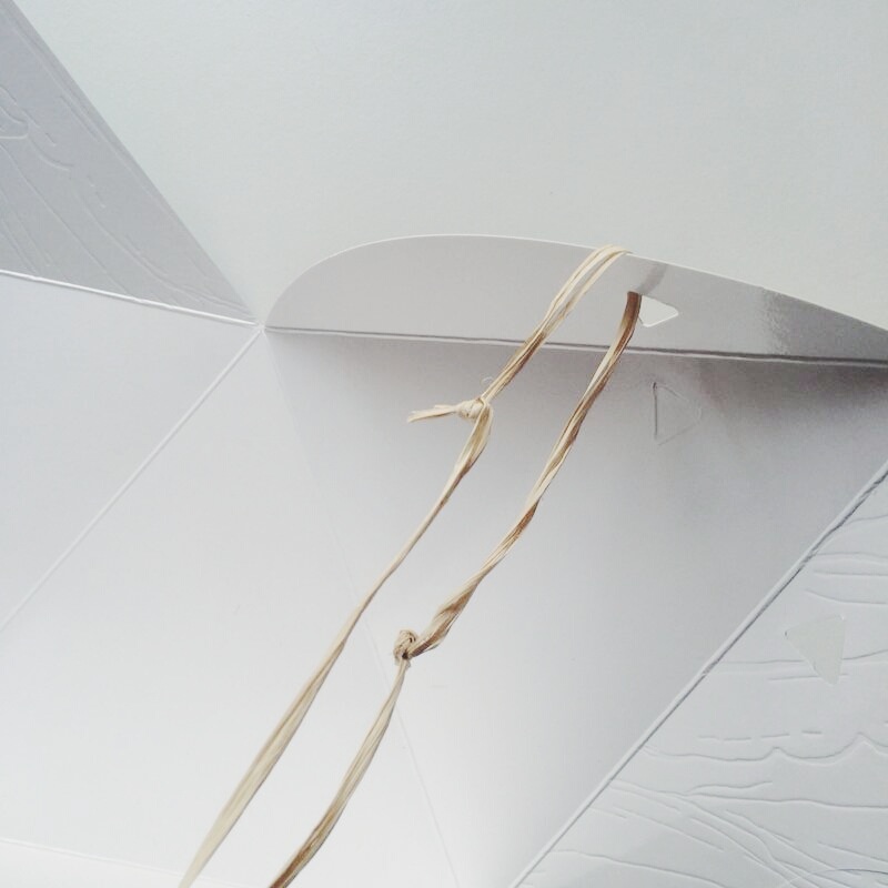 粽子 (Zong Zi) - peppermintshoes