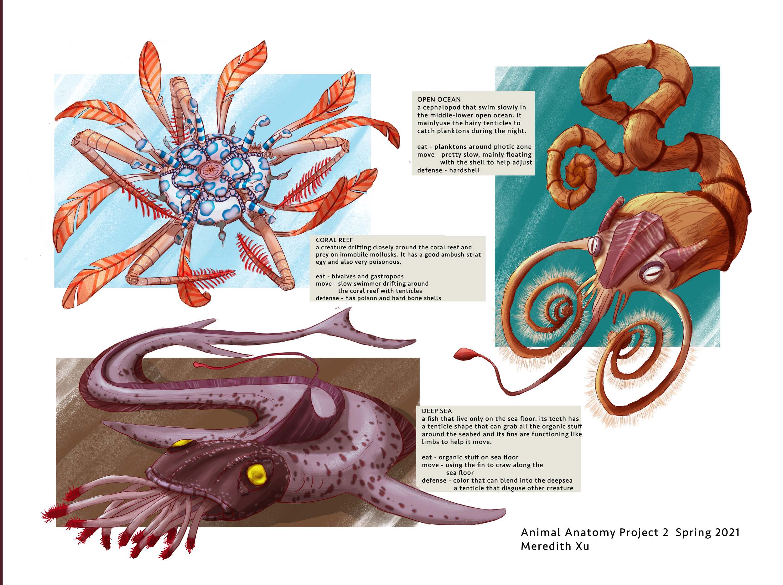 Animal Anatomy SP21 - Mountains and Seas