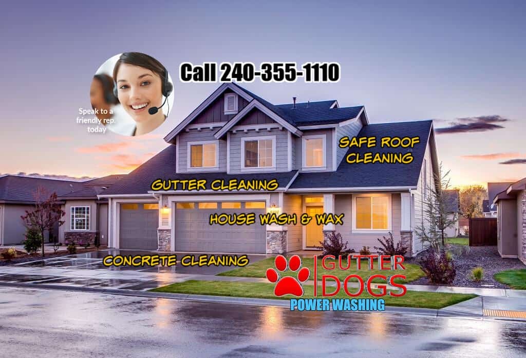 Everything You Need To Know About Power Washing PG County Md Cargo