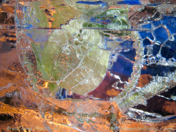 Wild Cucumber Seed Pods Terry McDaniel Photography