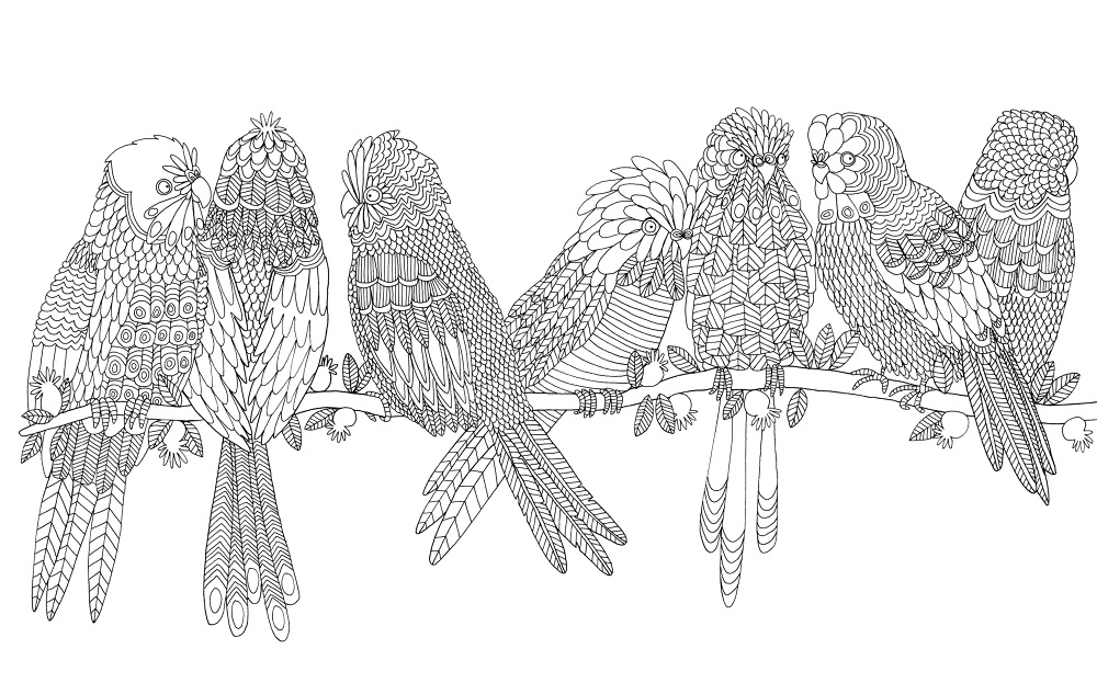 670+ Birds Of Paradise Coloring Book Picture HD 670+ Birds Of Paradise Coloring Book Picture HD