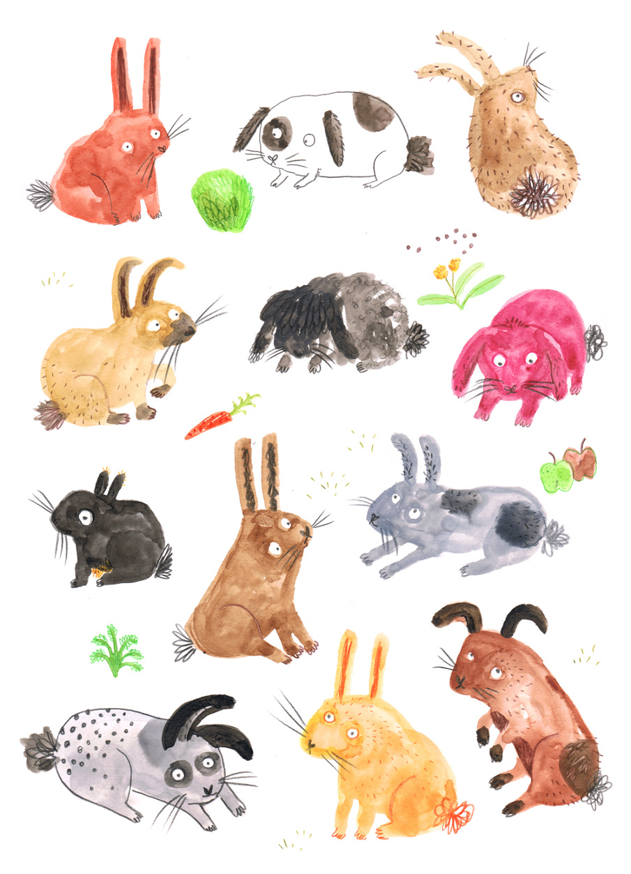 Dogs, cats and rabbits - Lorna Scobie Illustration