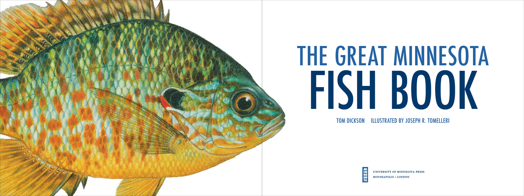 The Great Minnesota Fish Book Yvonne Tsang