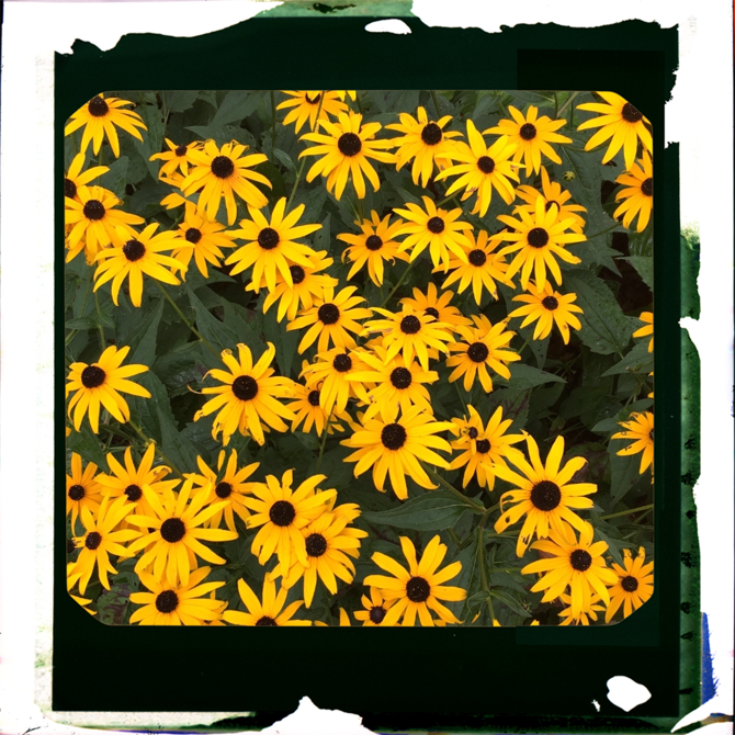 Og Frames App Amandalong Org