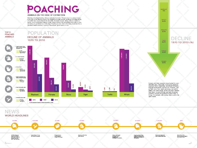 Poaching - Upper Design