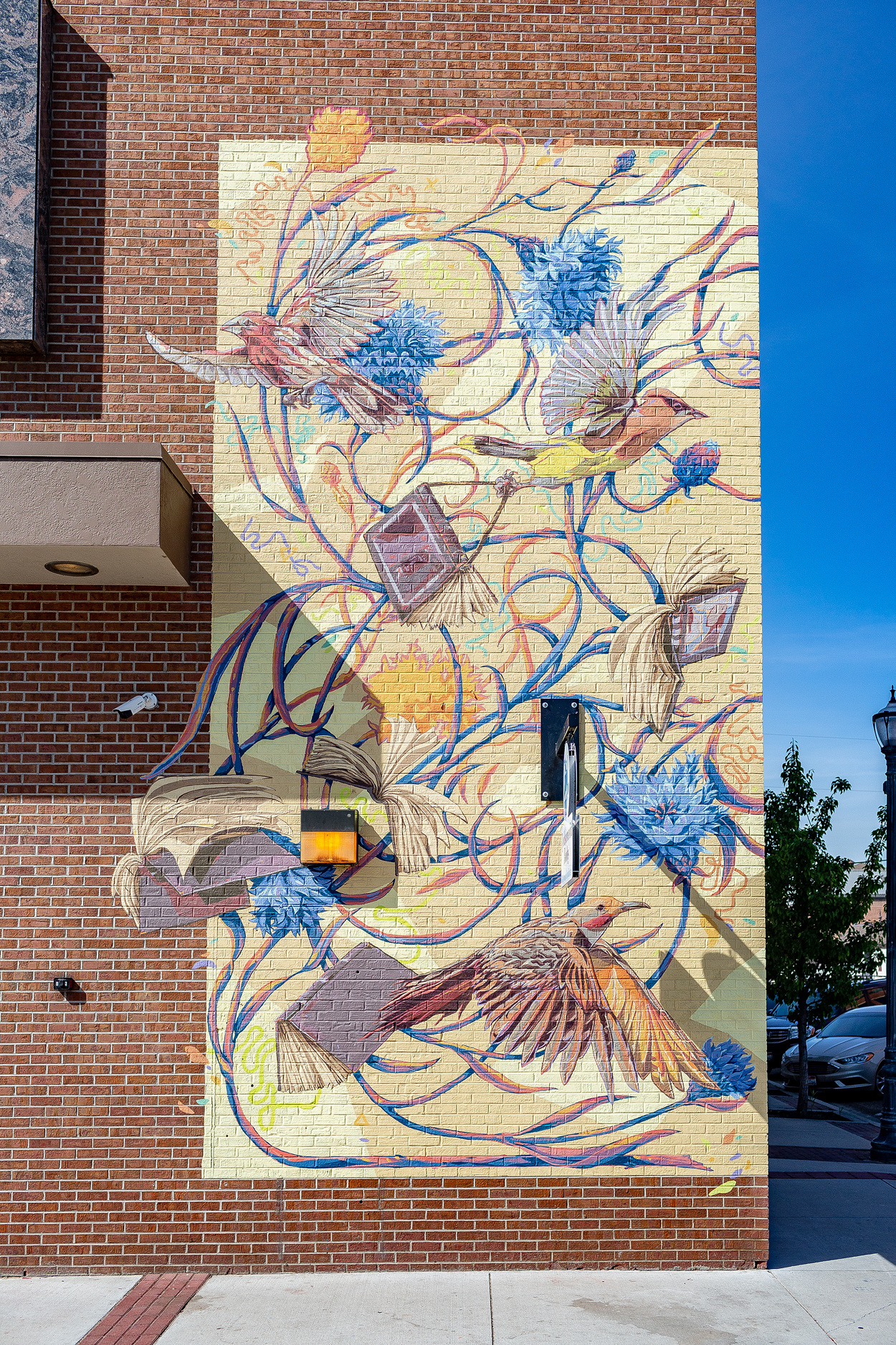 Rediscovered Books Mural - Rasgorshek