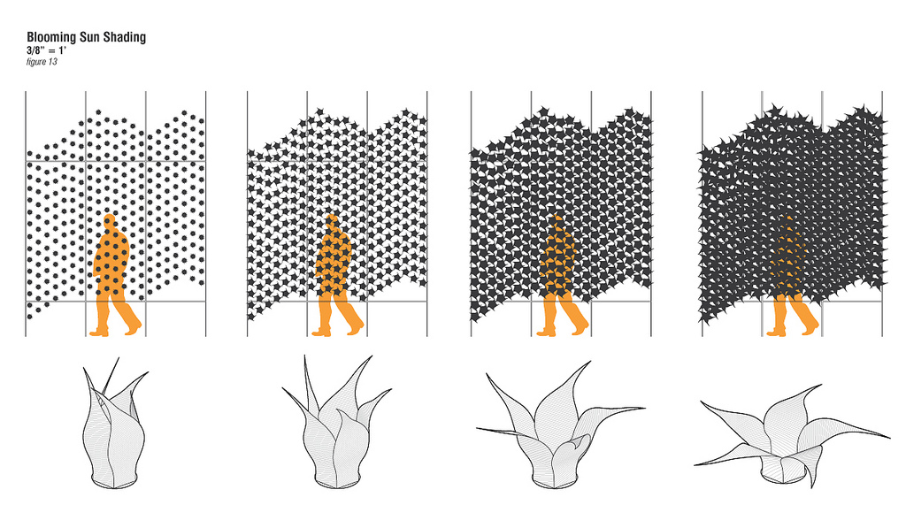 Expansion: - PeterNguyen