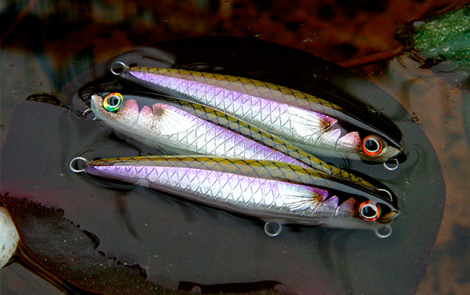 urban fishing lures