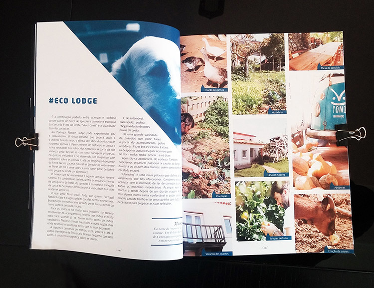 Yoni Surfboards Catalogue Hugo Carreira Portfolio