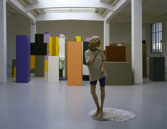 Rachel harrison consider the lobster and other essays 05 picture