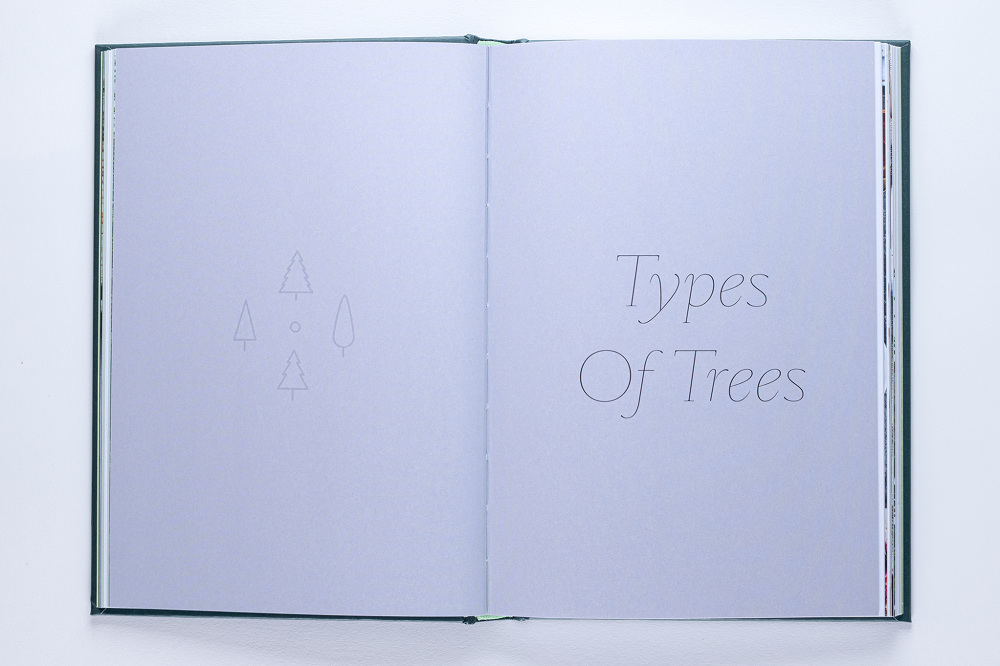 How to Eat your Christmas Tree