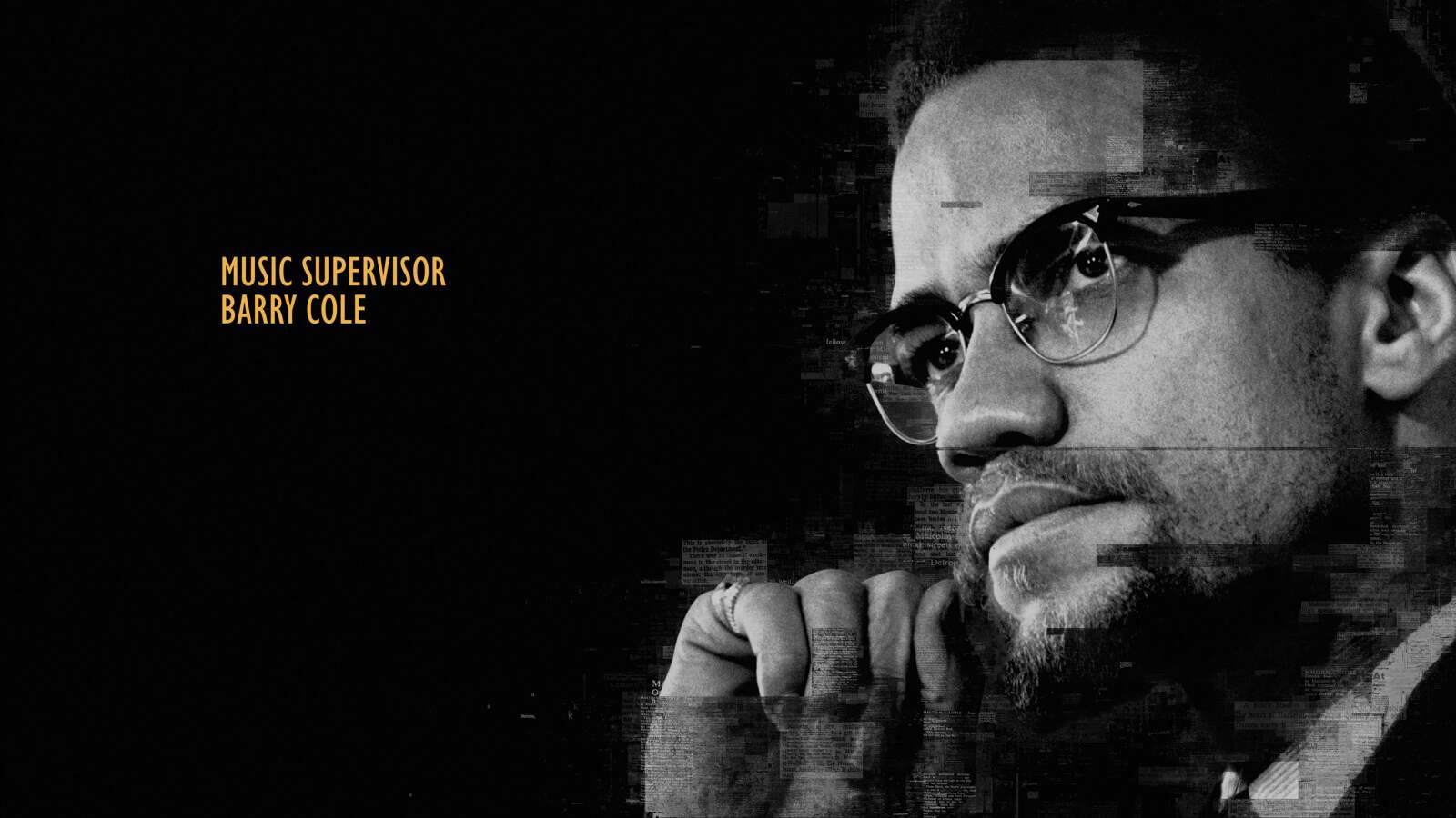 Who killed malcolm x netflix junsik na
