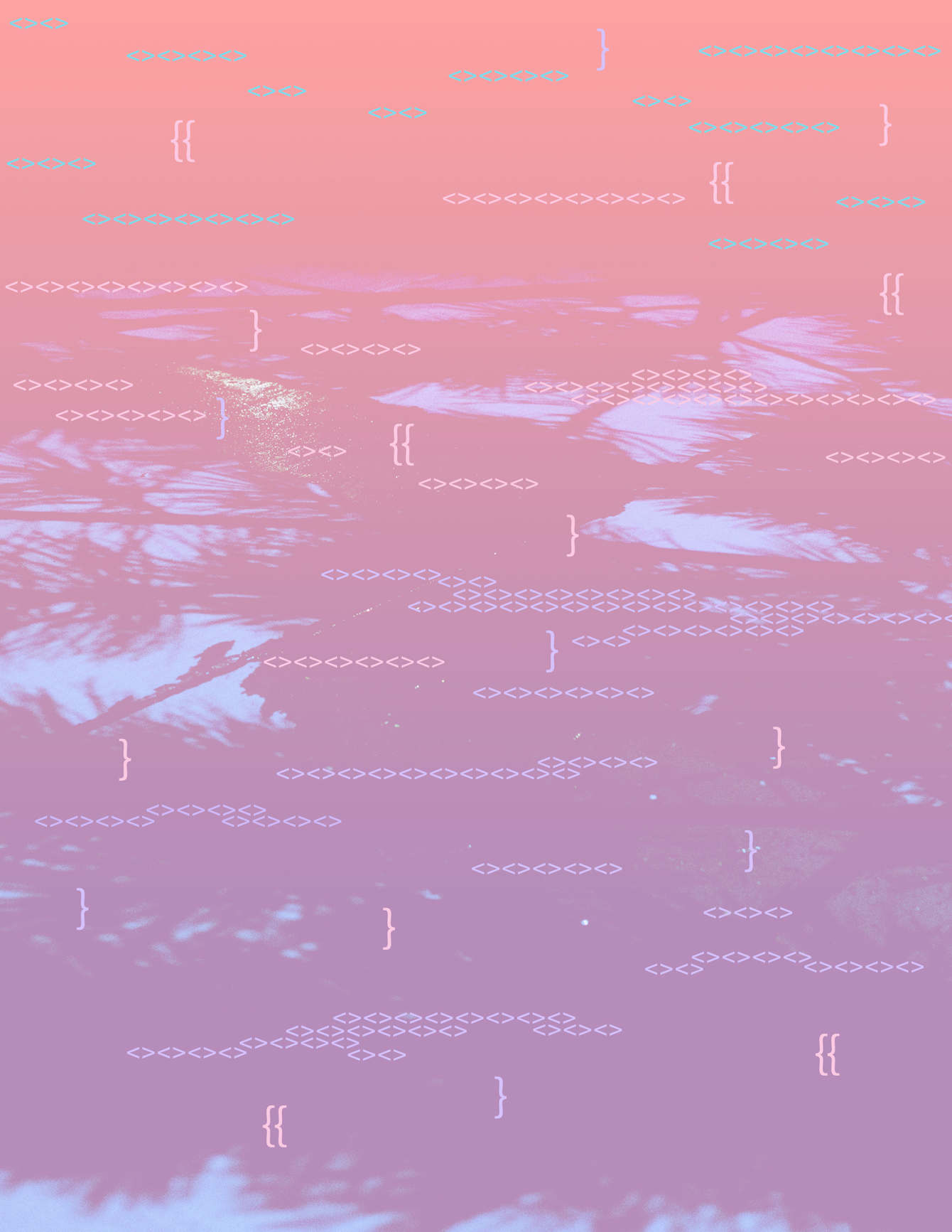 Rookie X Made With Code By Google Allegra Lockstadt