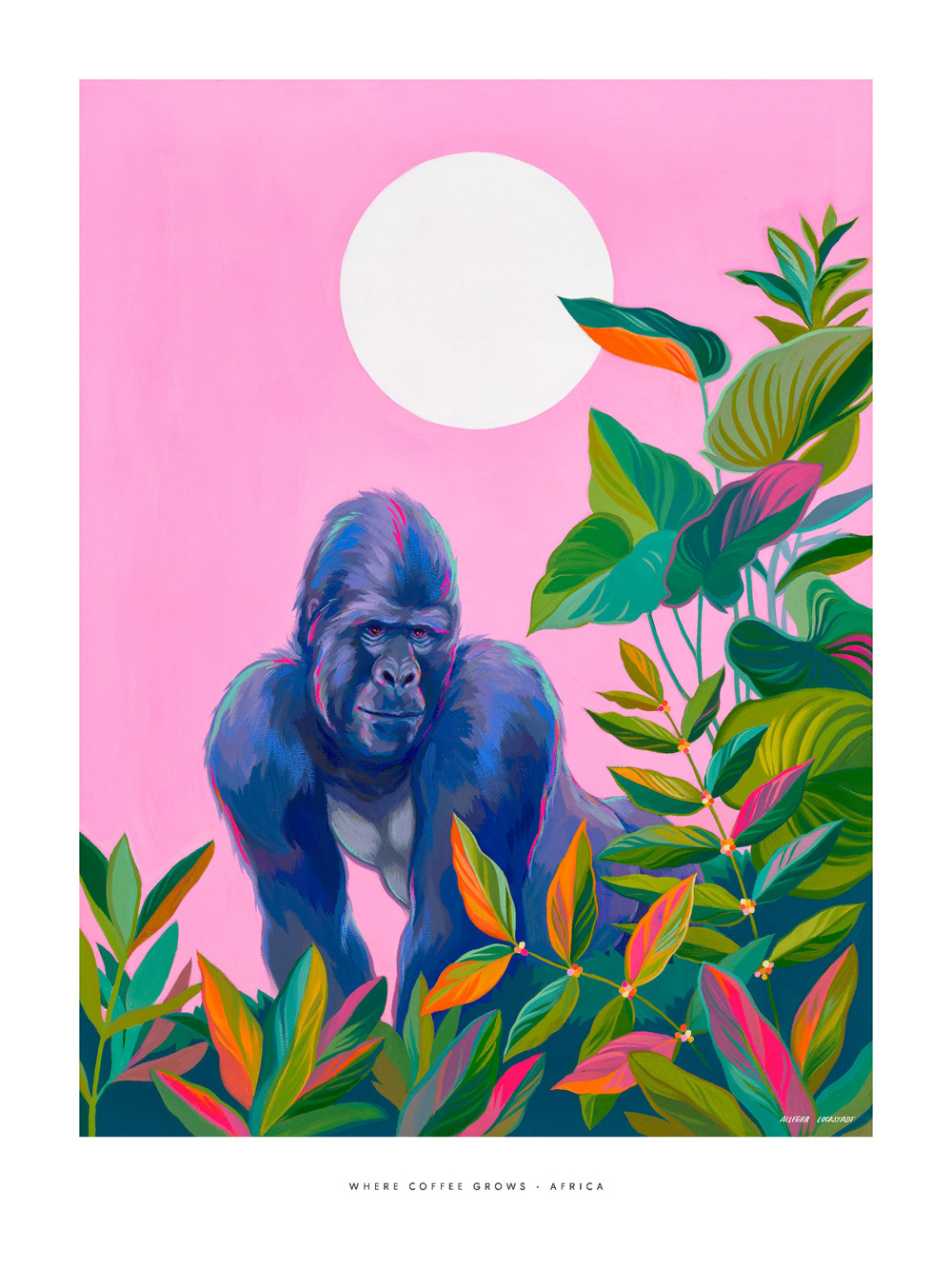 Starbucks Global Art Catalogue Allegra Lockstadt