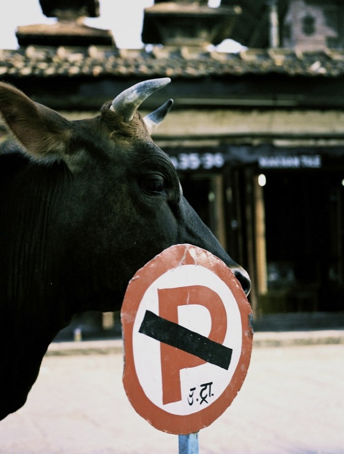 curiosity gobbles up the limitations of our imaginations.