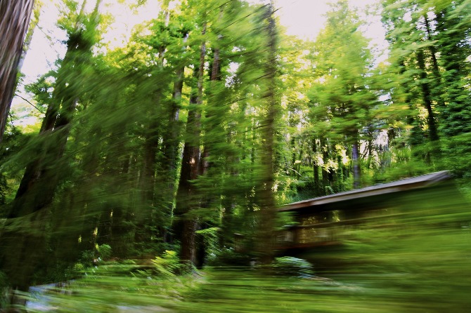 curiosity gobbles up the limitations of our imaginations.