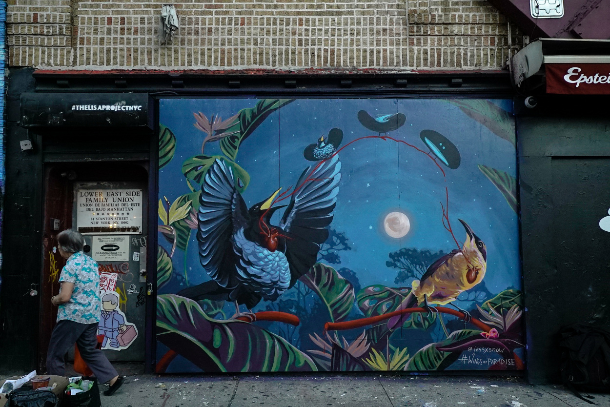 Wings of Paradise Jess X Snow