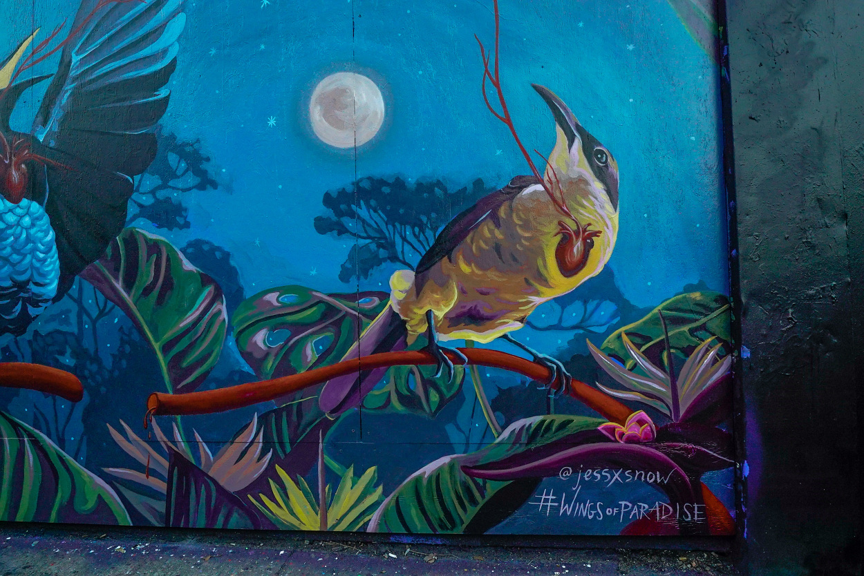 Wings of Paradise Jess X Snow