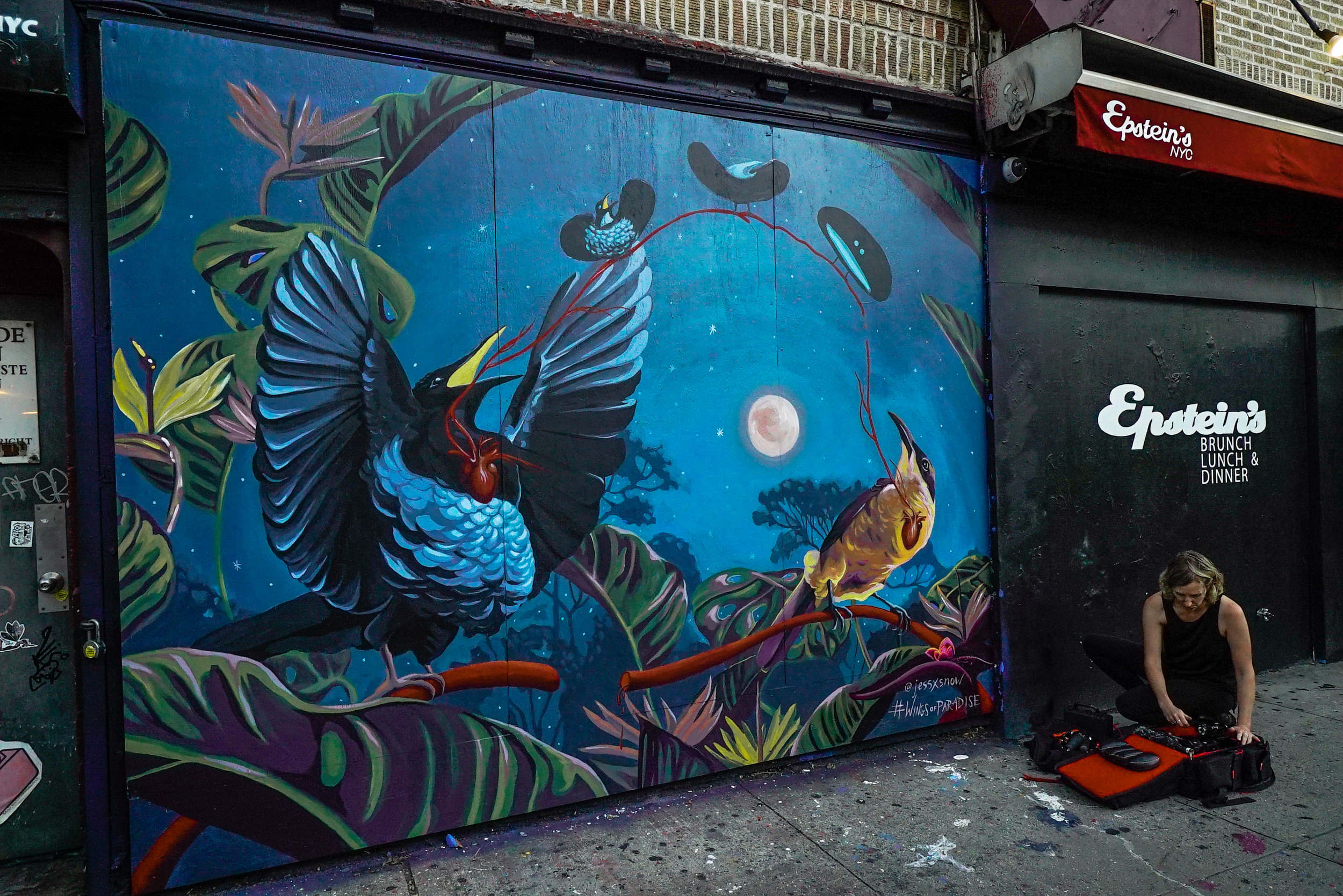 Wings of Paradise Jess X Snow