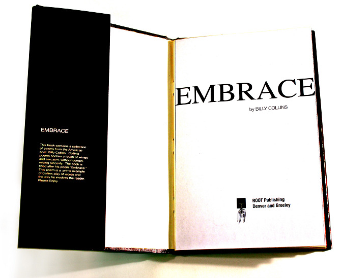 Embrace billy collins essays 04 picture