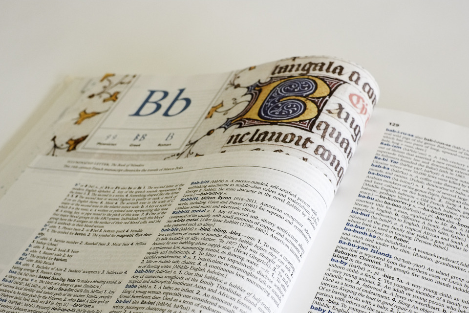 Fifth Edition The American Heritage Dictionary