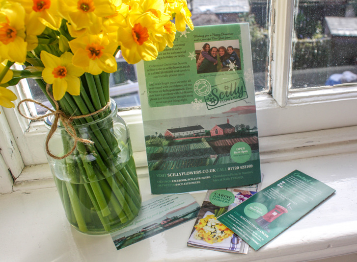 Scilly Flowers Rachael Horner Illustration