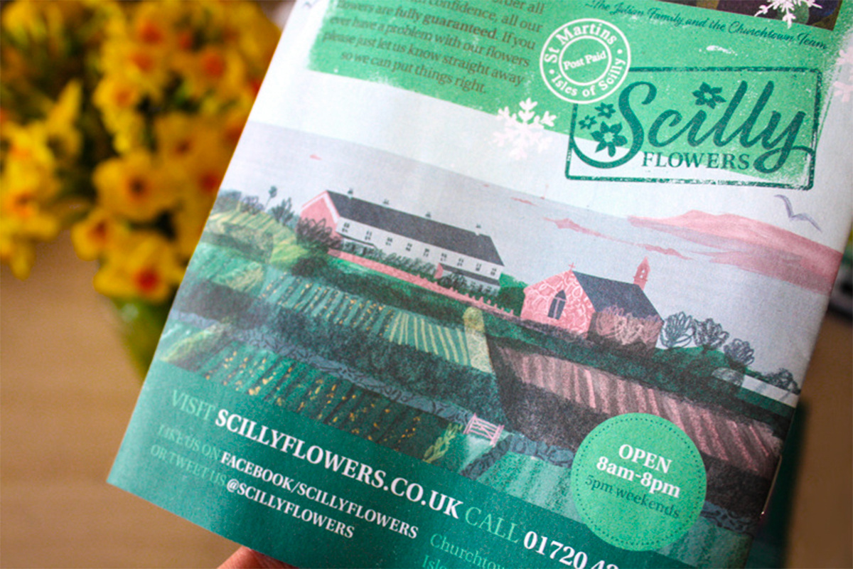 Scilly Flowers Rachael Horner Design and Illustration