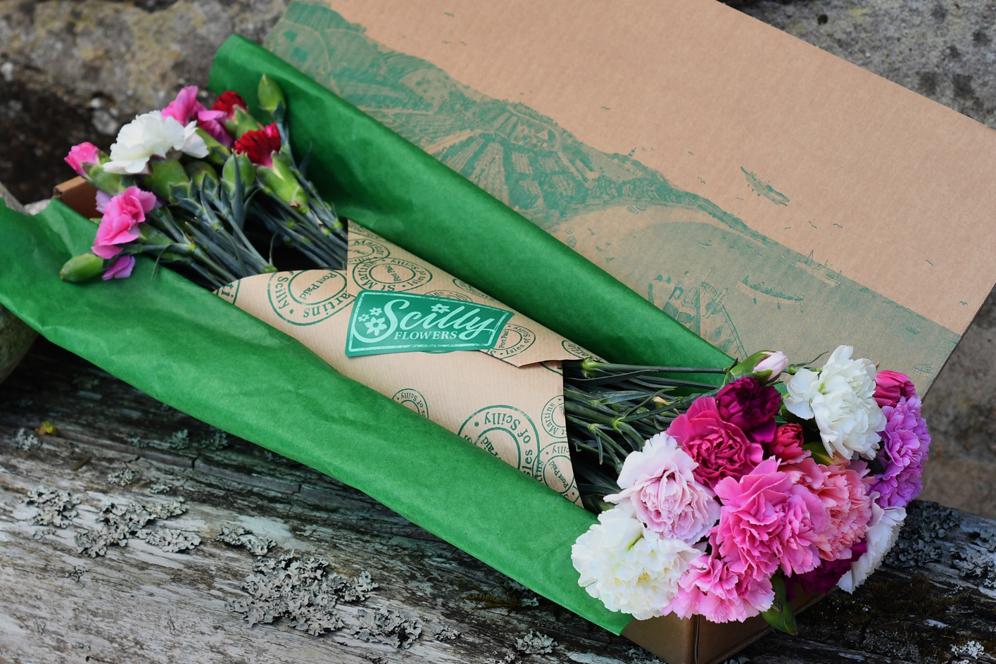 Scilly Flowers Rachael Horner Design and Illustration