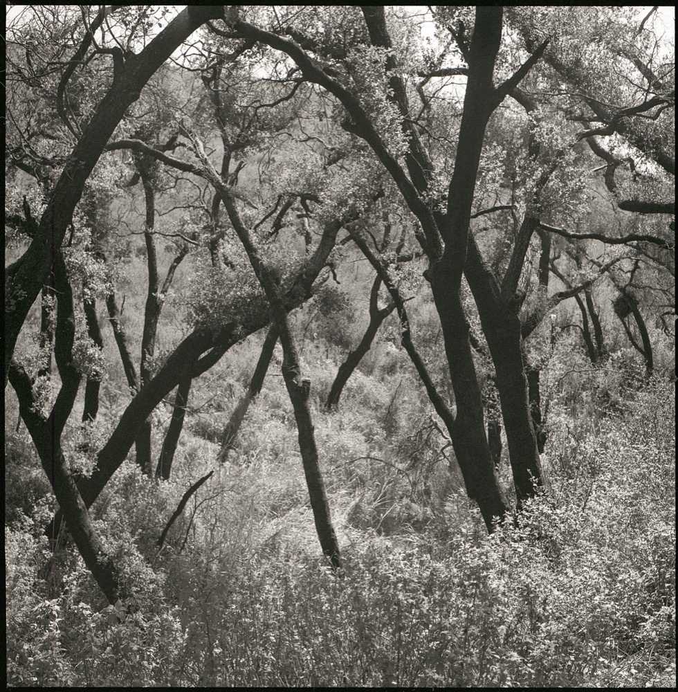 William Michael John Carroll