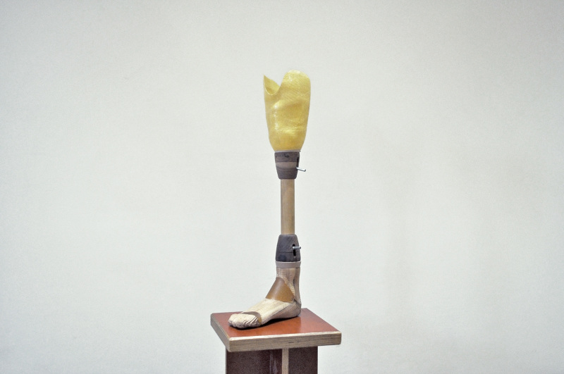Self Adjustable Prosthesis - Old Victor