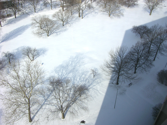 The Landscape Mies Detroit — Lafayette Park, Detroit, Michigan