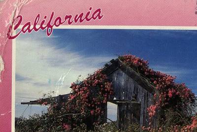 Fuck my thesis 05 picture