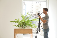 Wire - Maya Ben David