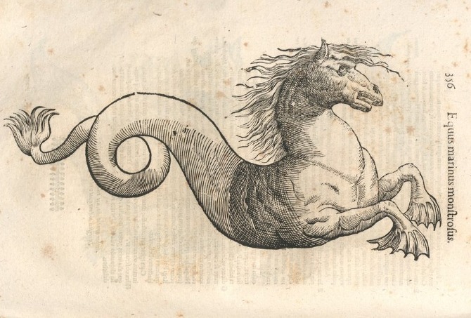 Monstrorum Historia by Ulisse Aldrovandi - Kunstkabinett