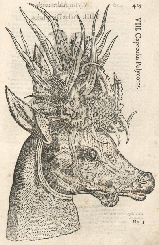 Monstrorum Historia by Ulisse Aldrovandi - Kunstkabinett