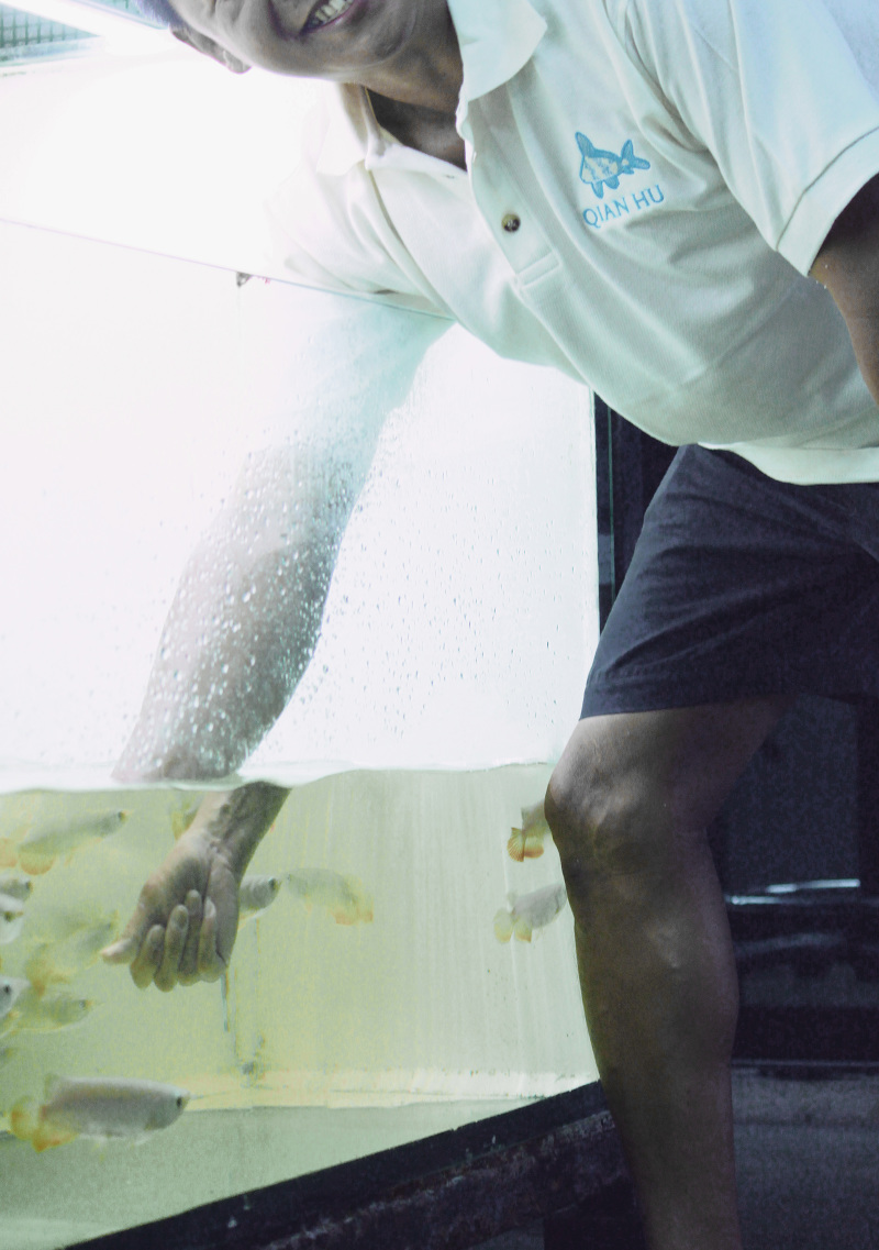 Qian Hu Fish Farm Darius Ou