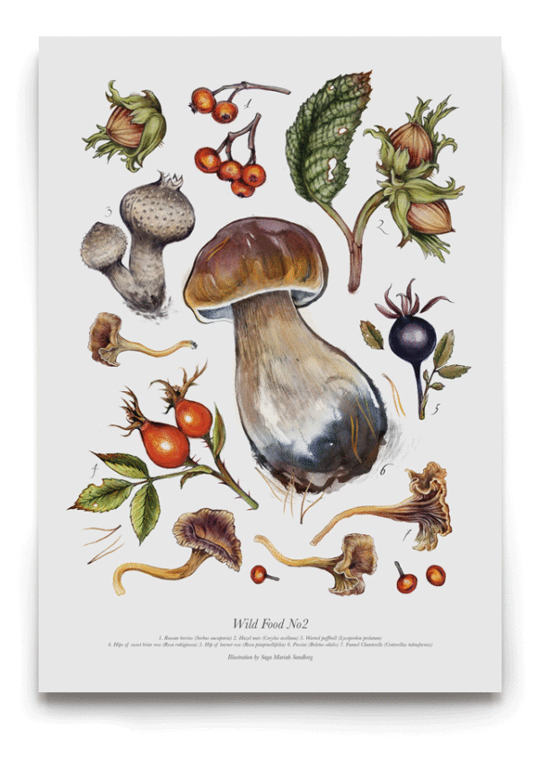 Botanical Art SagaMariah Art & Illustration